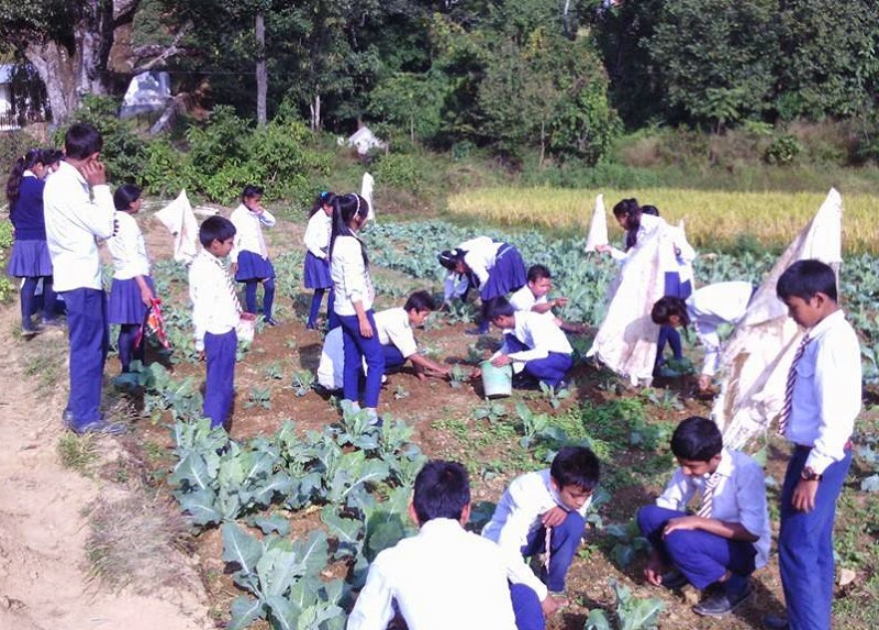 कृषि अध्ययन अध्यापन सञ्चालन गर्ने   